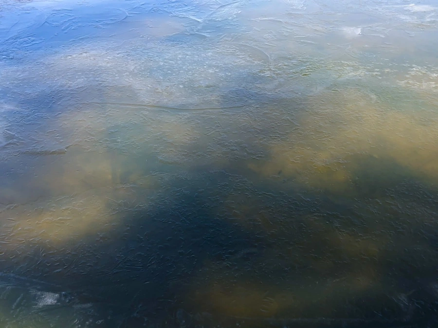 IMG_7908.jpg?type=w966