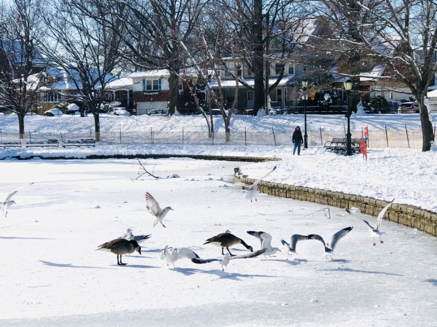 IMG_1331.jpg?type=w966