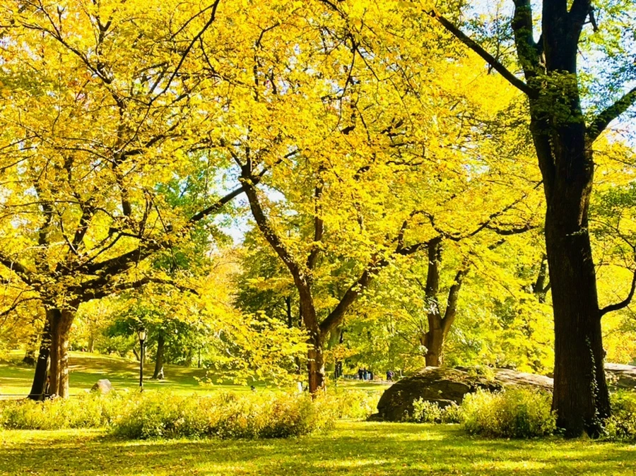 IMG_1575.jpg?type=w966