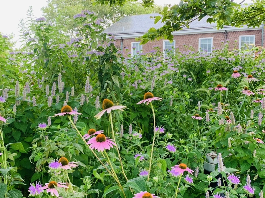 IMG_6826.jpg?type=w966