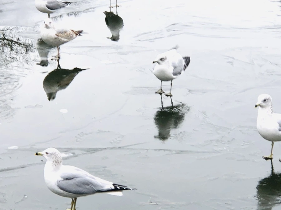 IMG_8903.jpg?type=w966