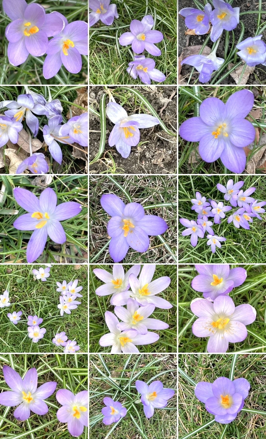 IMG_4144.jpg?type=w966