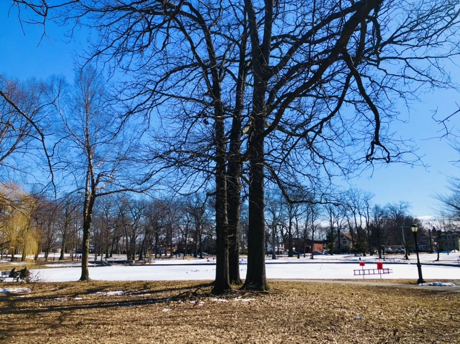 IMG_5014.jpg?type=w966