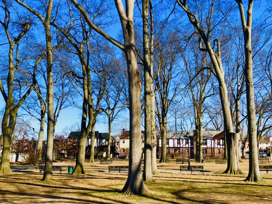 IMG_8154.jpg?type=w966