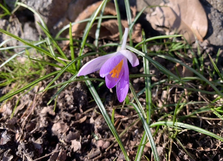 IMG_7479.jpg?type=w966