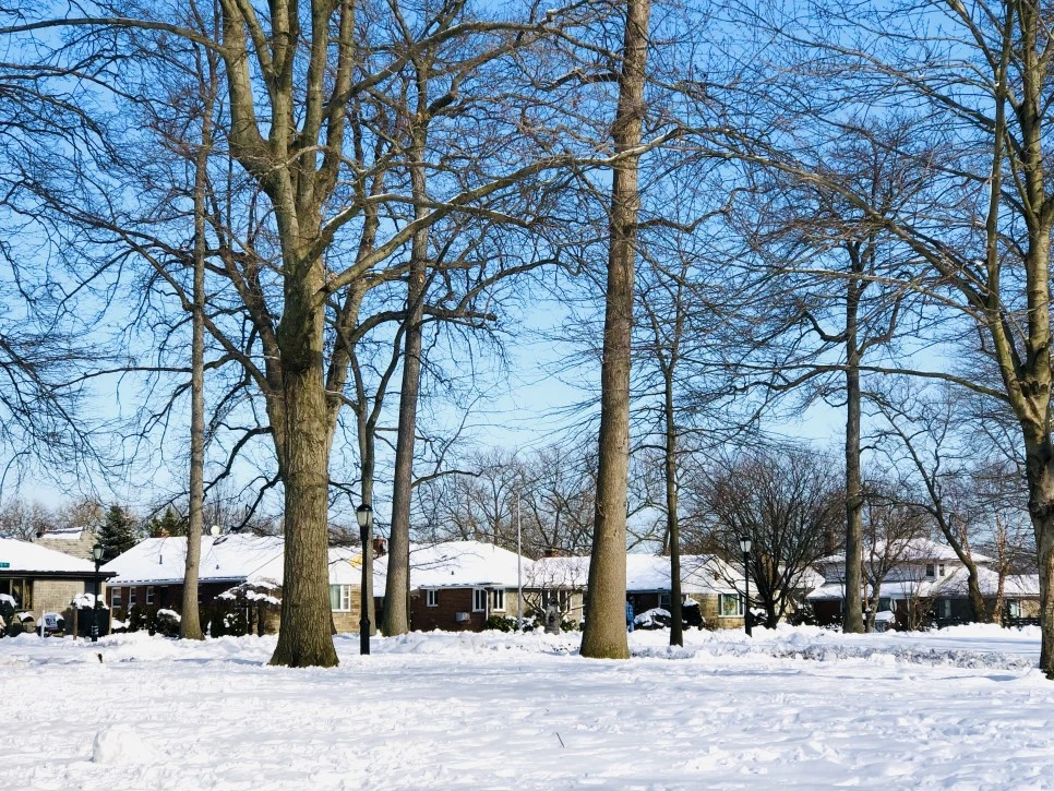 IMG_1286.jpg?type=w966