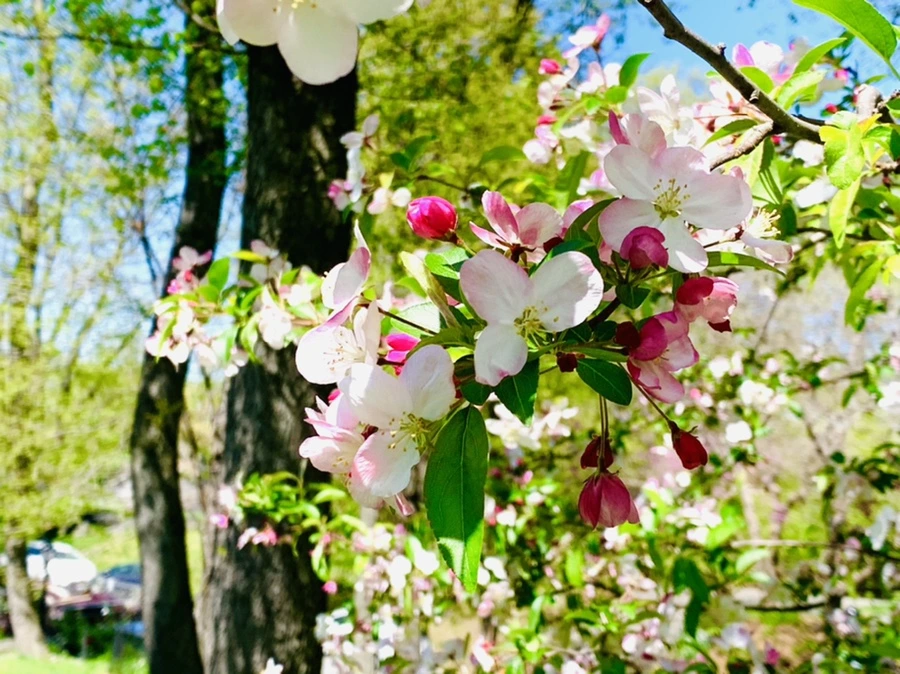 IMG_5713.jpg?type=w966