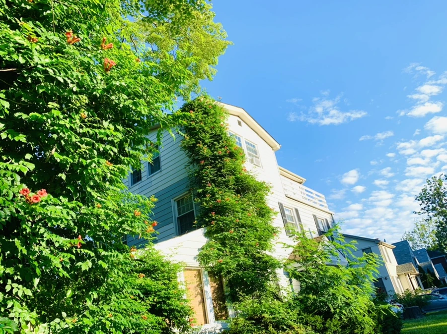 IMG_5194.jpg?type=w966