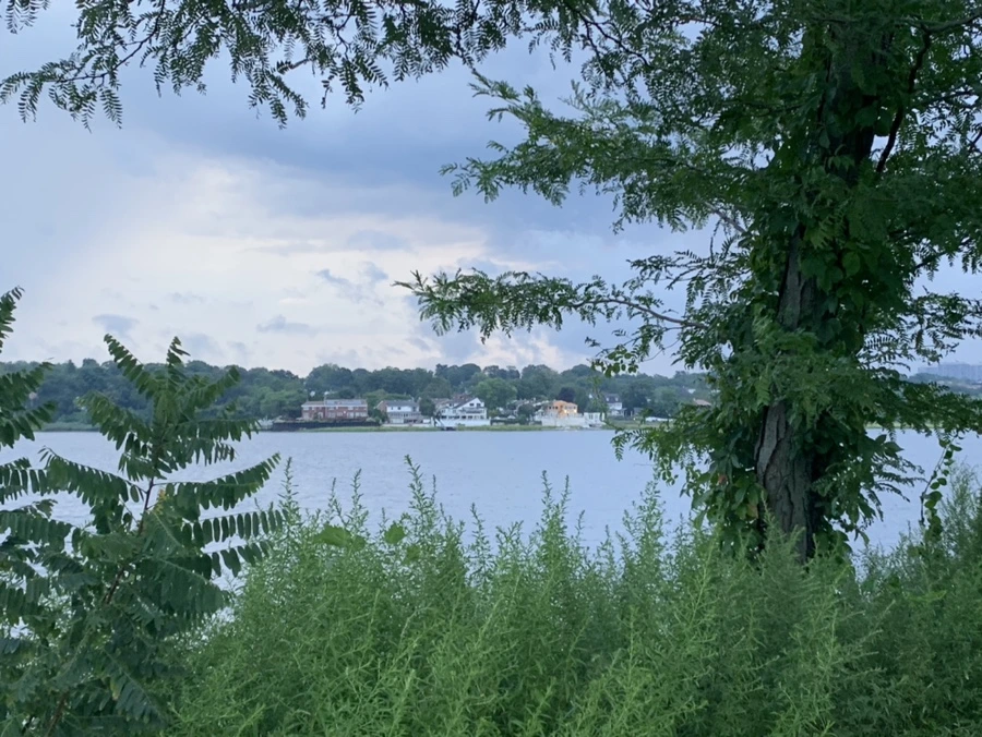 IMG_5690.jpg?type=w966