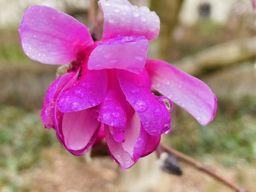 IMG_7381.jpg?type=w966