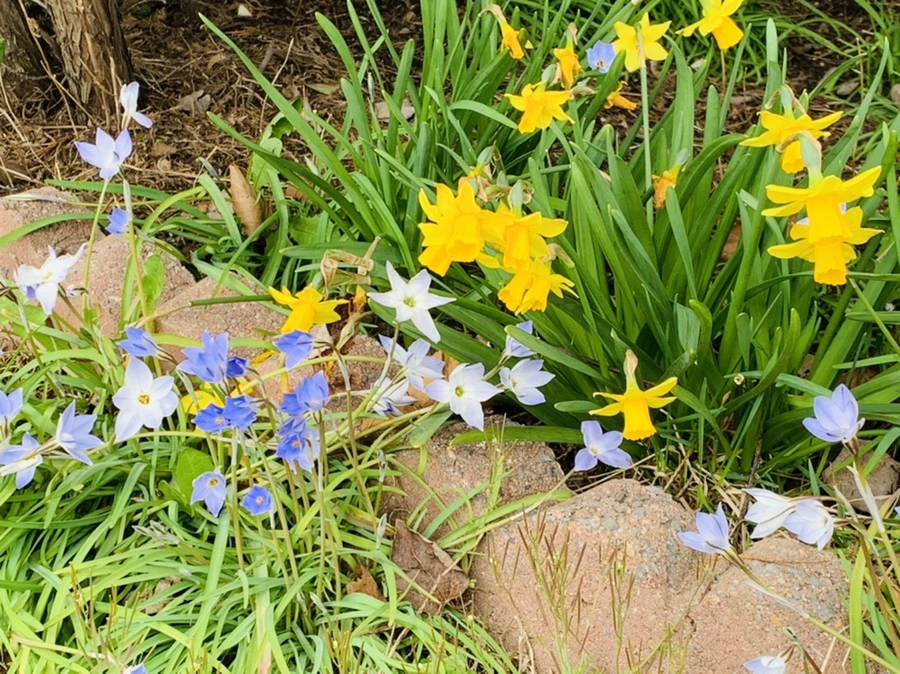 IMG_6738.jpg?type=w966