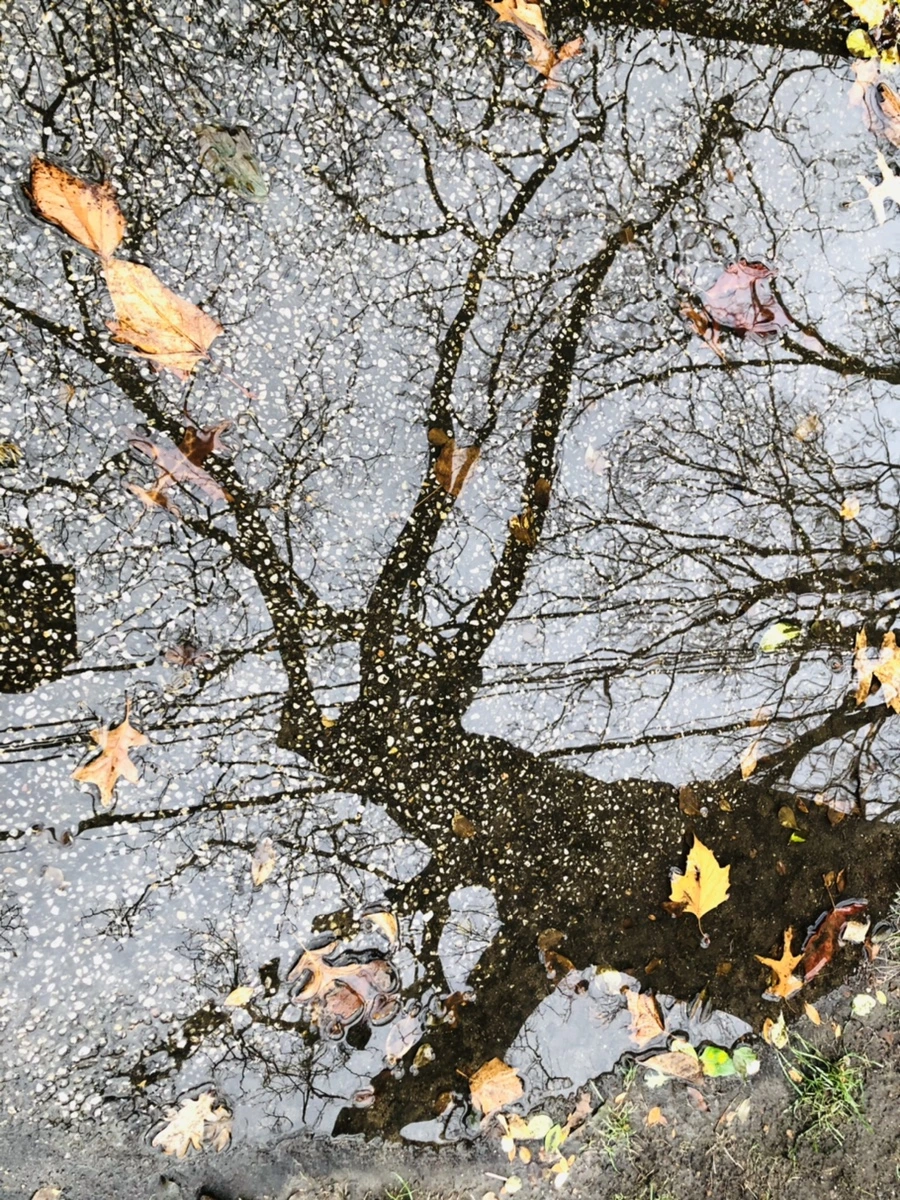 IMG_8142.jpg?type=w966