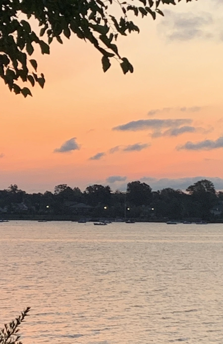 IMG_5334.jpg?type=w966