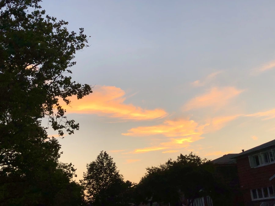 IMG_4640.jpg?type=w966