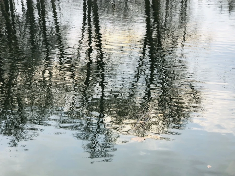 IMG_4546.jpg?type=w966