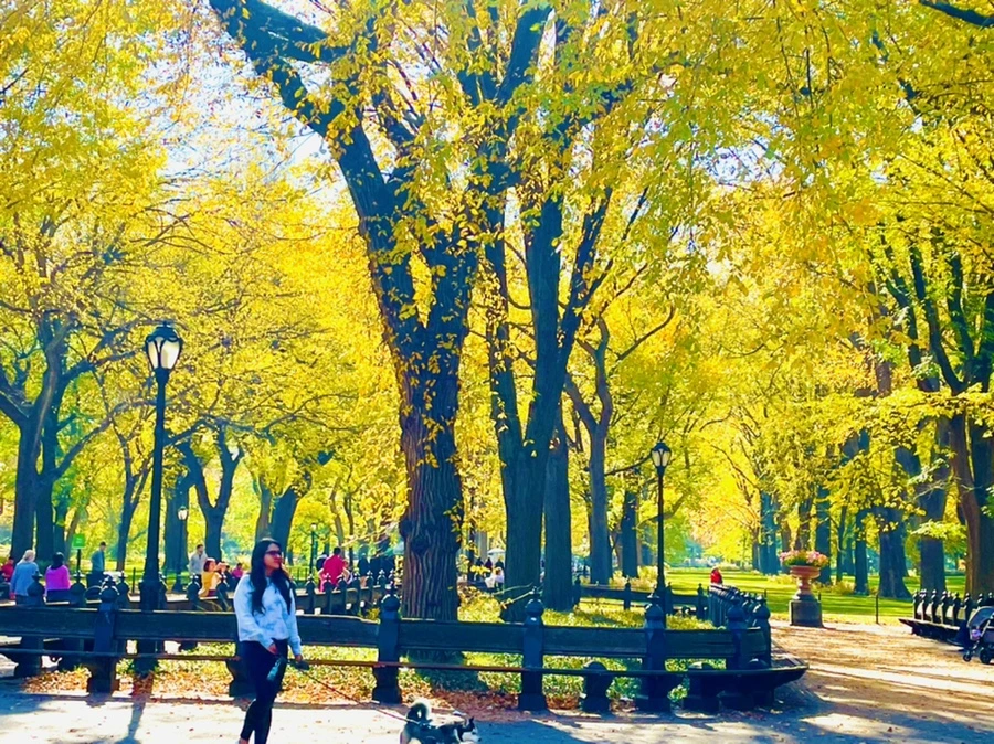 IMG_1590.jpg?type=w966