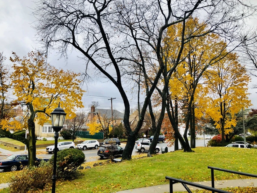 IMG_2246.jpg?type=w966