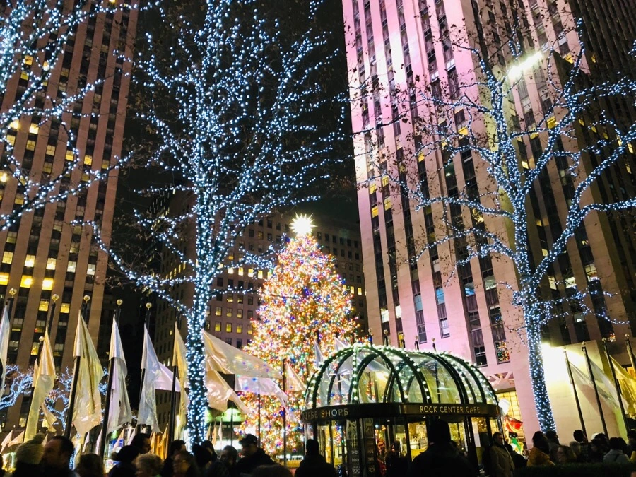 IMG_8173.jpg?type=w966