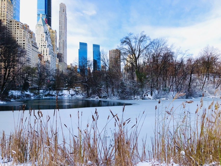 IMG_7013.jpg?type=w966