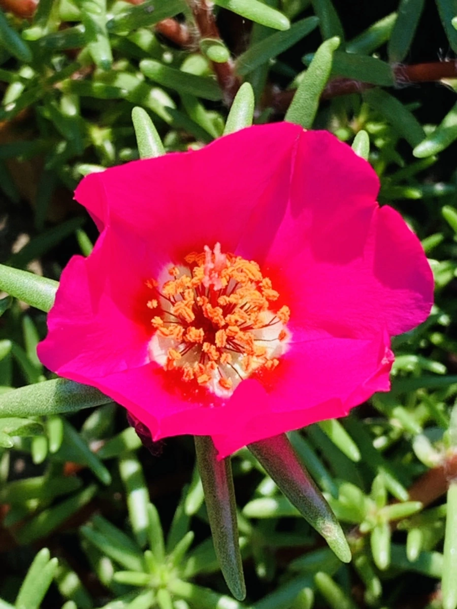 IMG_8379.jpg?type=w966