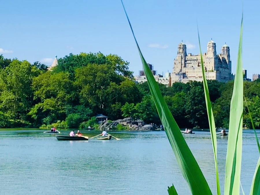 IMG_4458.jpg?type=w966