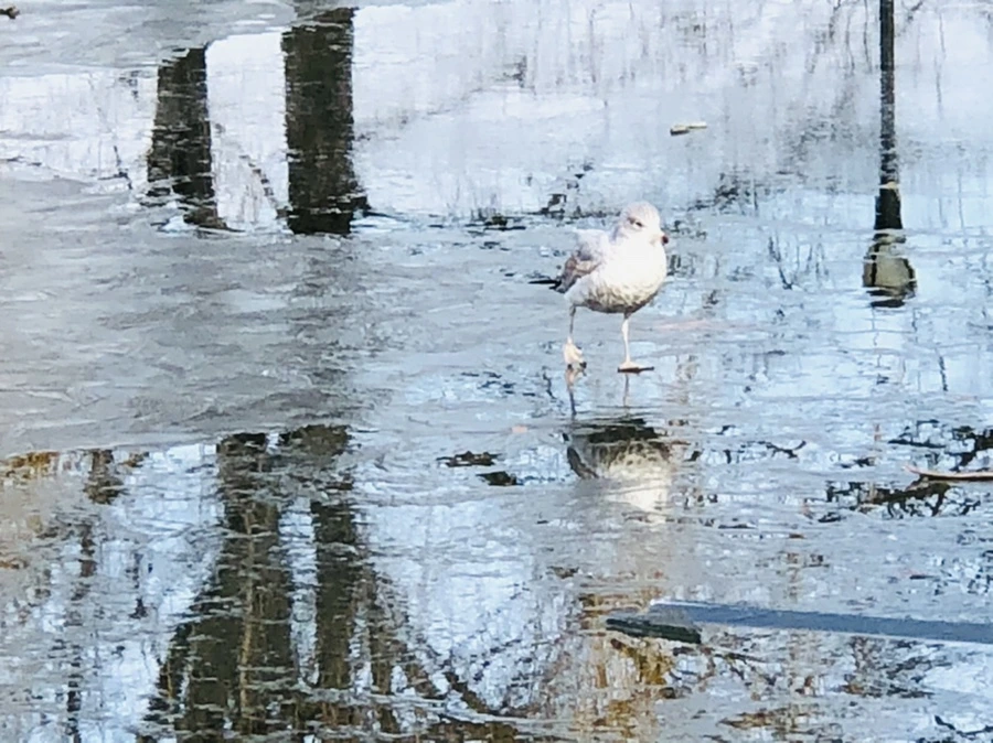 IMG_4684.jpg?type=w966