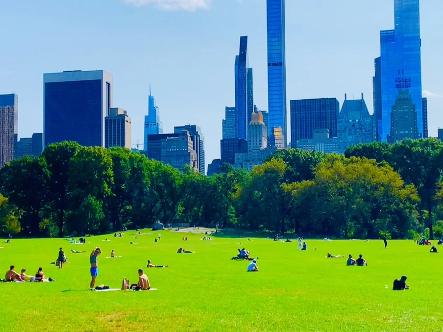 IMG_9687.jpg?type=w966