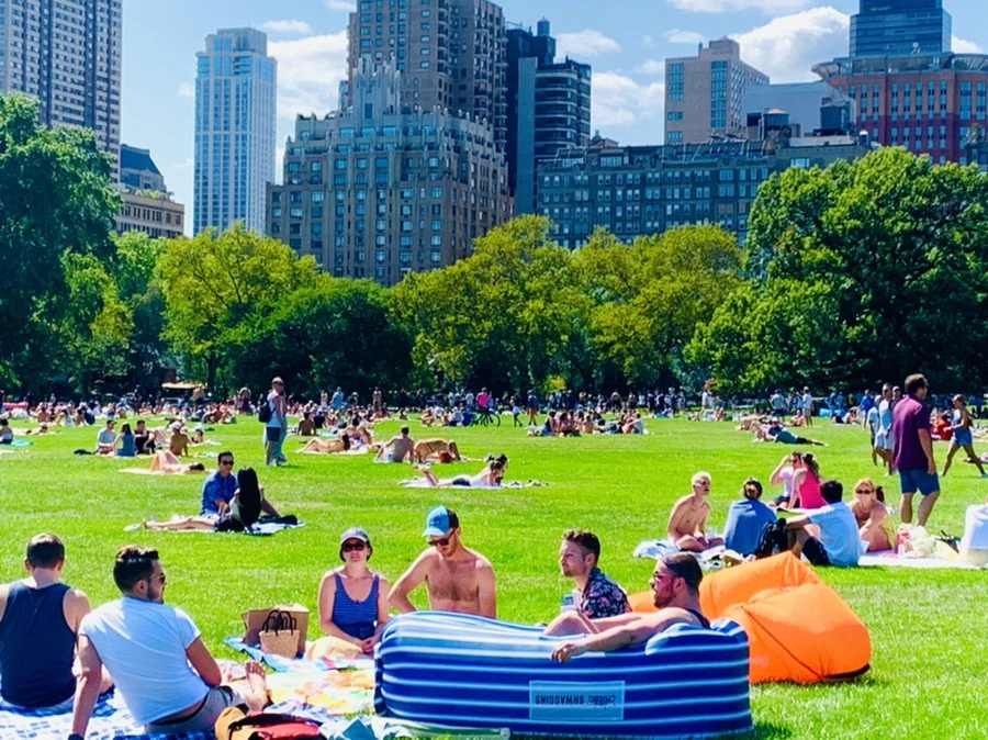 IMG_4387.jpg?type=w966