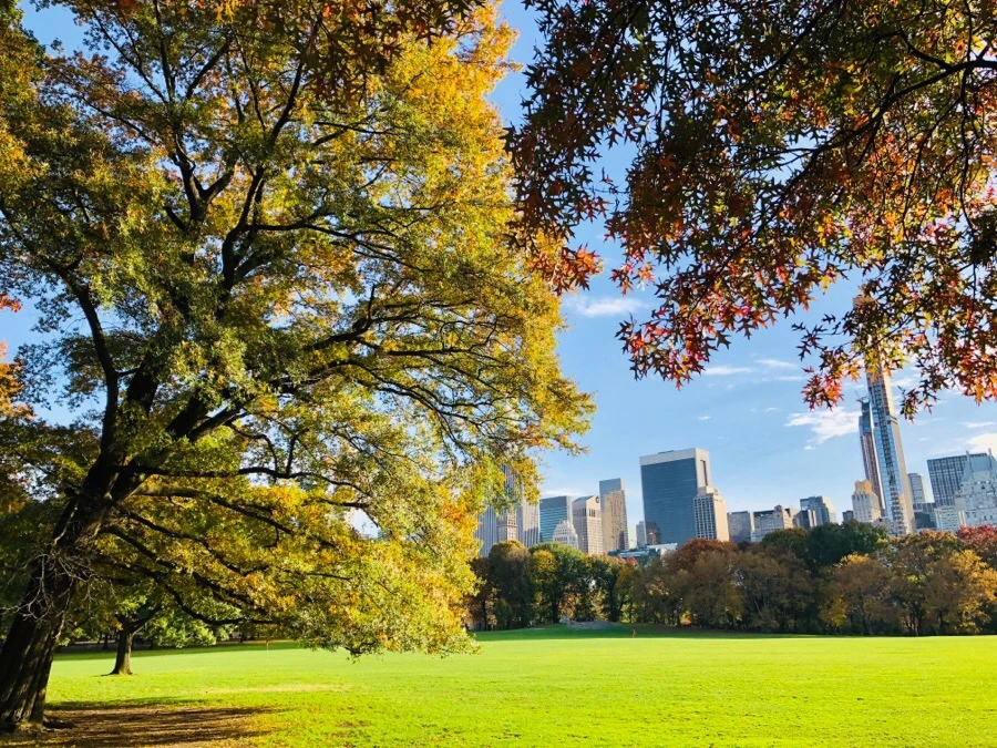 IMG_7550.jpg?type=w966