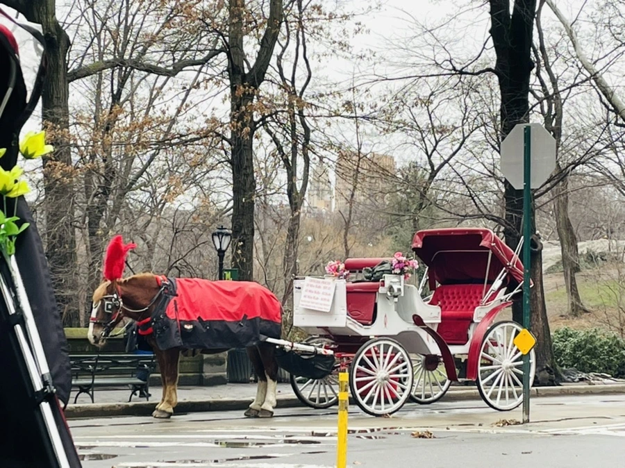 IMG_0291.jpg?type=w966