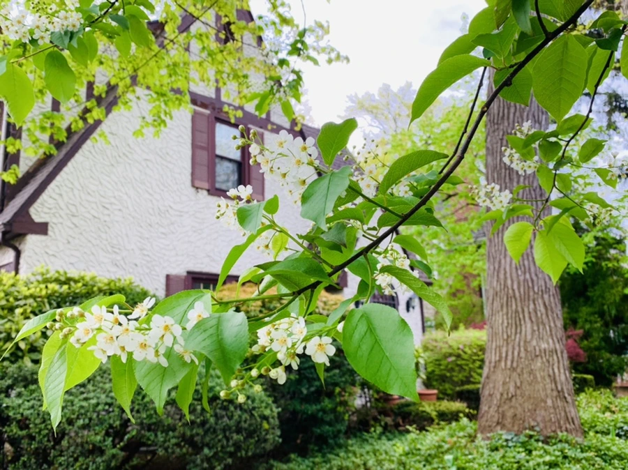 IMG_6115.jpg?type=w966