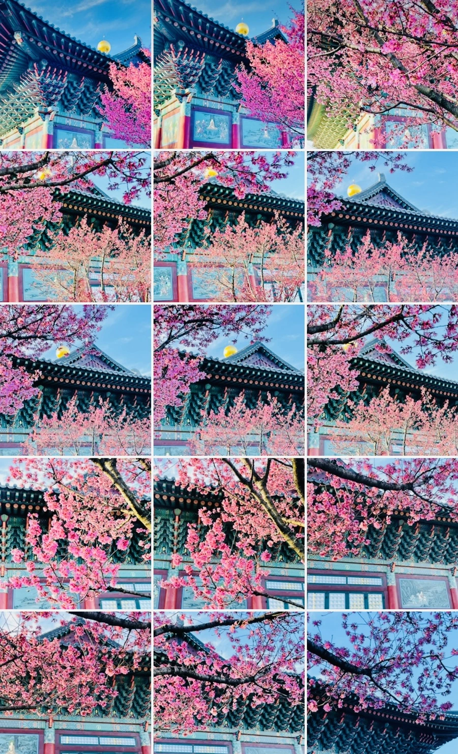 IMG_6210.jpg?type=w966