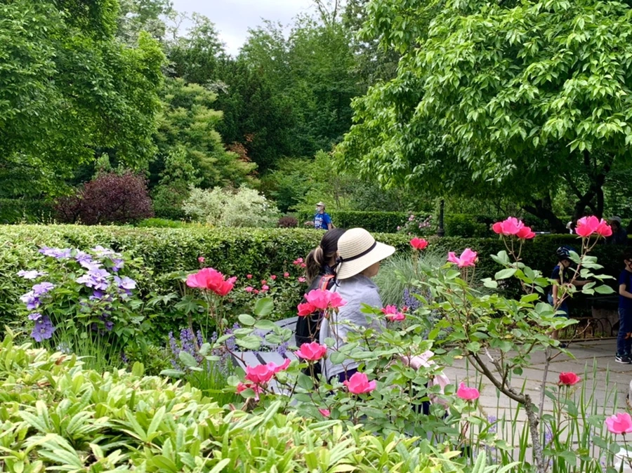 IMG_6582.jpg?type=w966