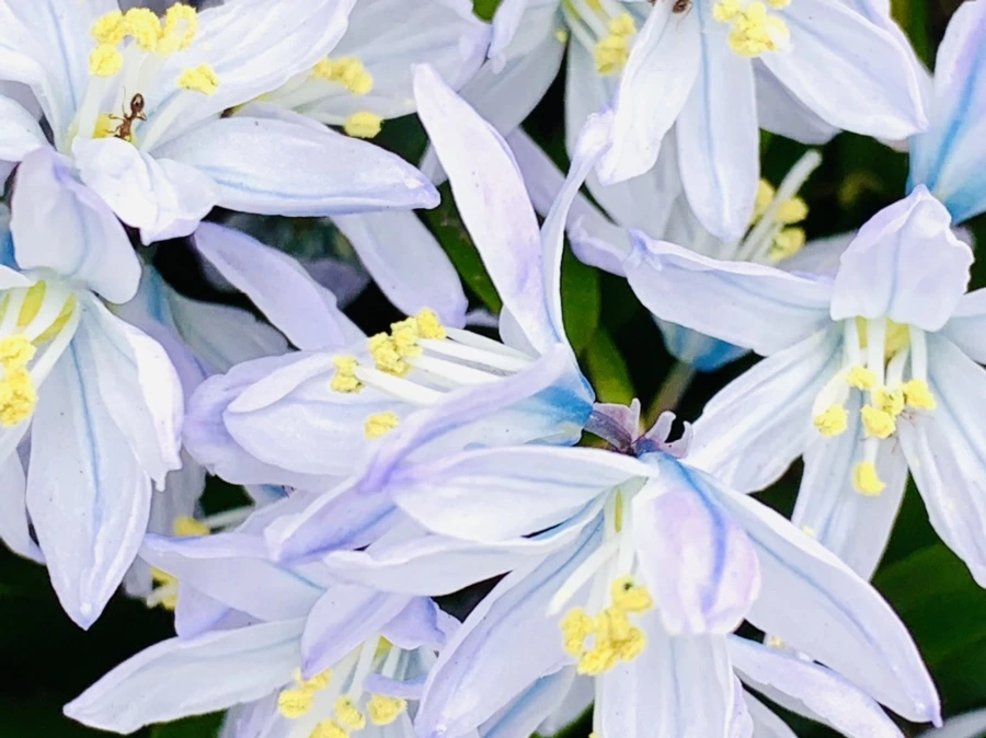 IMG_3540.jpg?type=w966