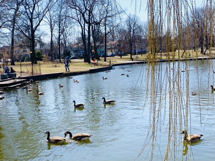 IMG_3115.jpg?type=w966