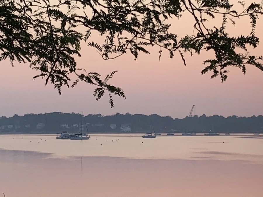 IMG_1970.jpg?type=w966