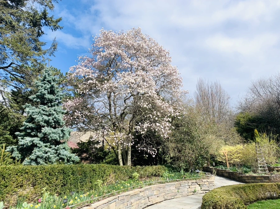 IMG_6464.jpg?type=w966