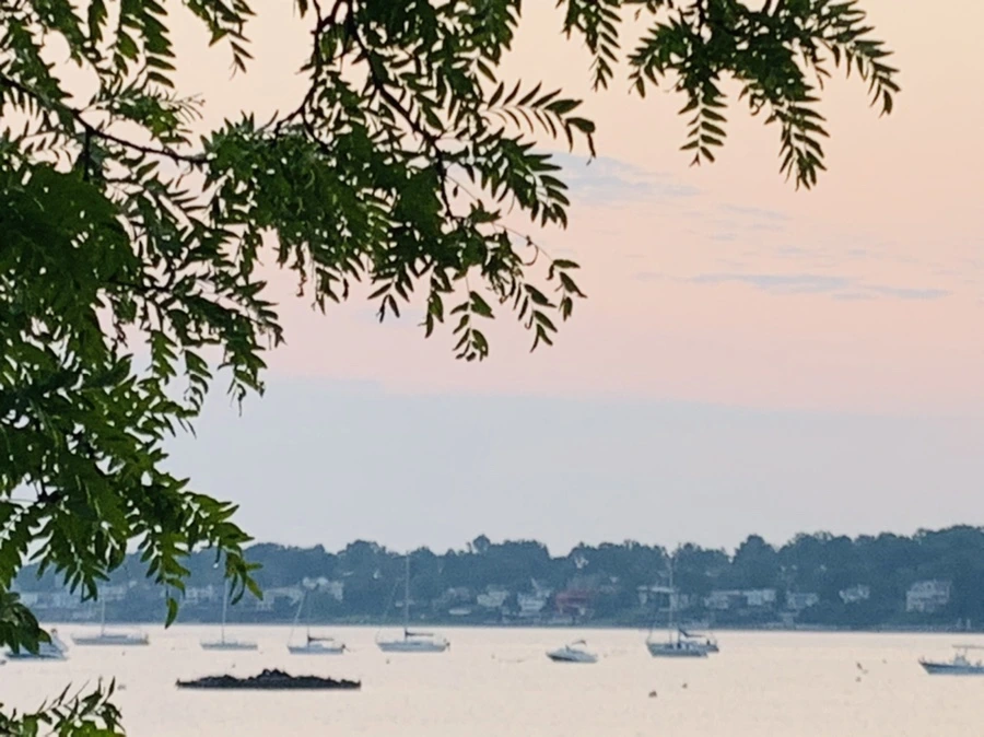 IMG_2394.jpg?type=w966