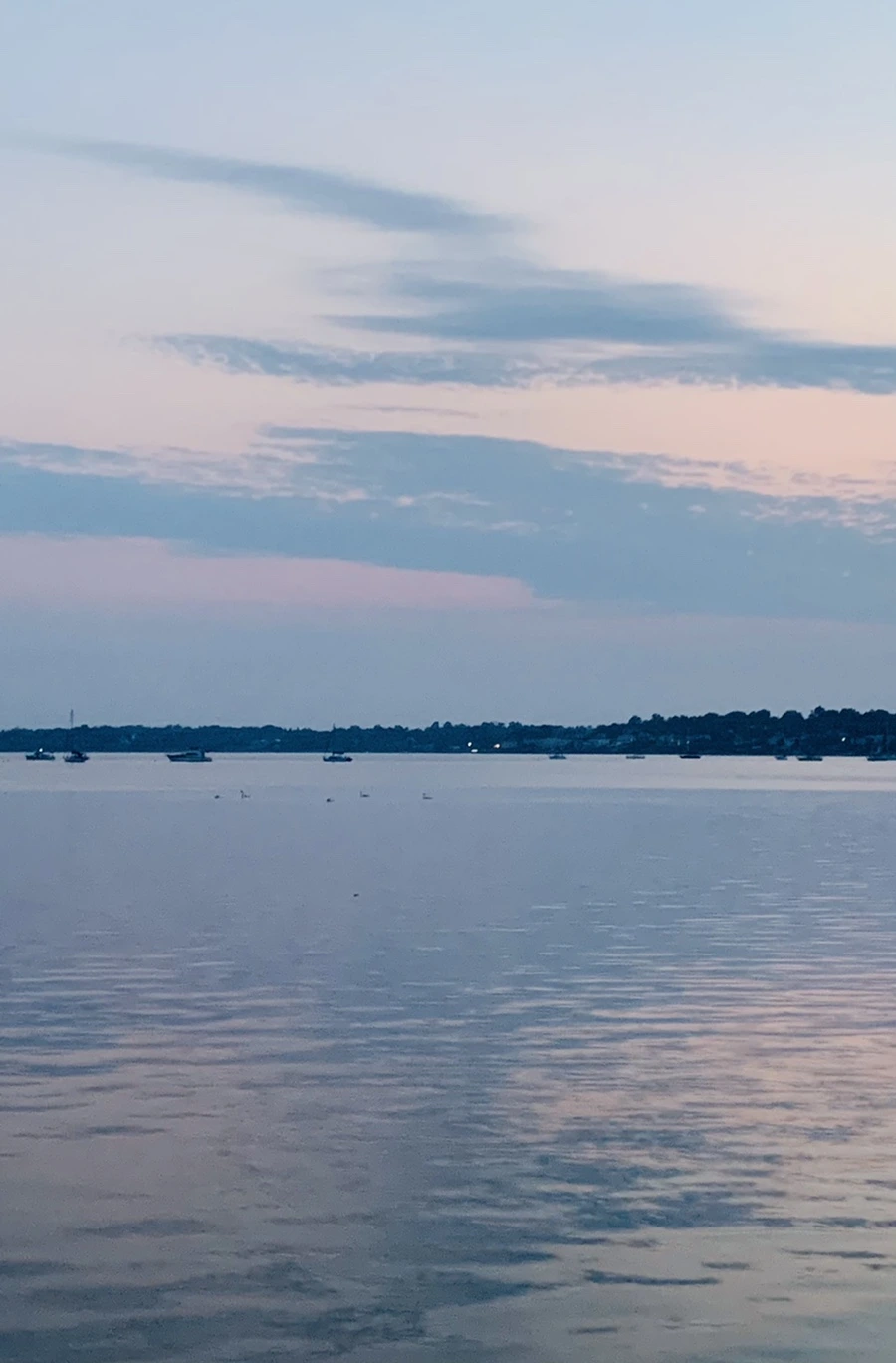 IMG_2244.jpg?type=w966