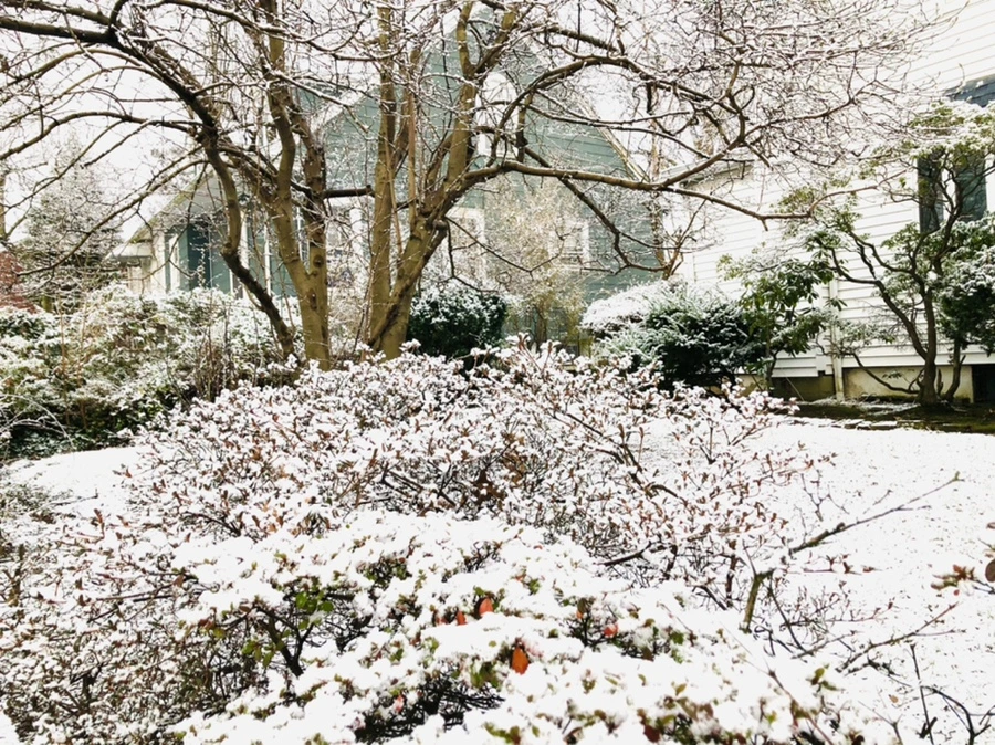 IMG_4461.jpg?type=w966