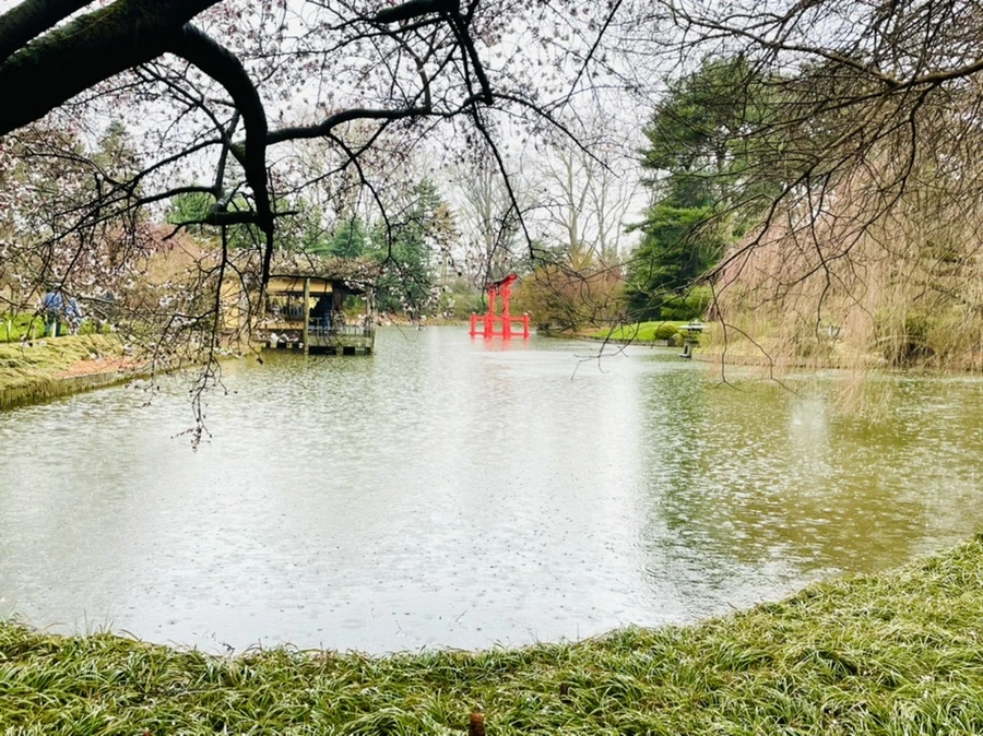 IMG_7334.jpg?type=w966