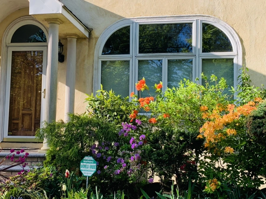 IMG_2019.jpg?type=w966