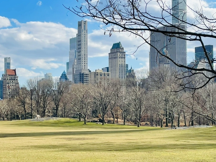 IMG_1797.jpg?type=w966