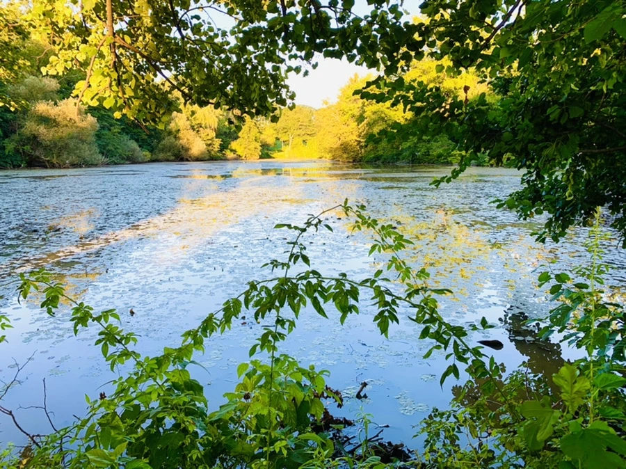 IMG_7192.jpg?type=w966