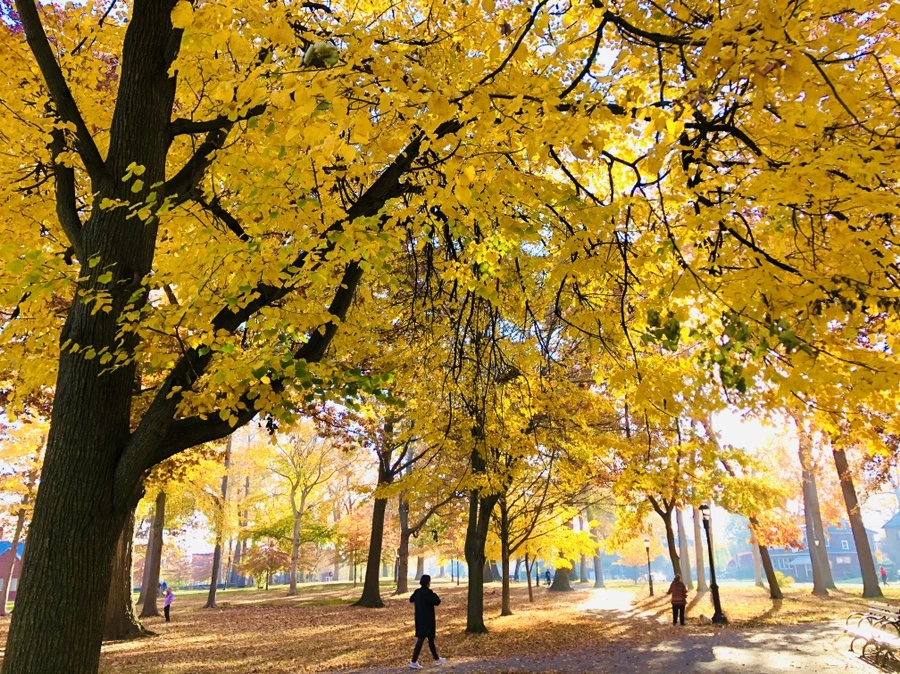 IMG_4084.jpg?type=w966