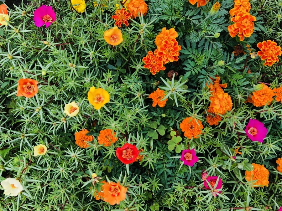 IMG_1474.jpg?type=w966