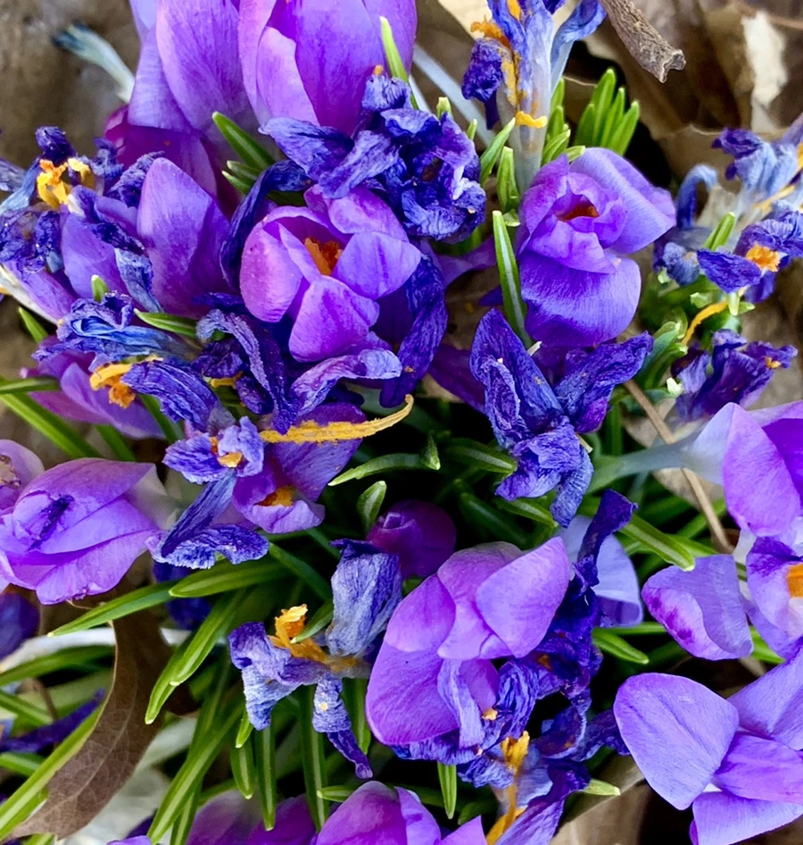 IMG_1430.jpg?type=w966