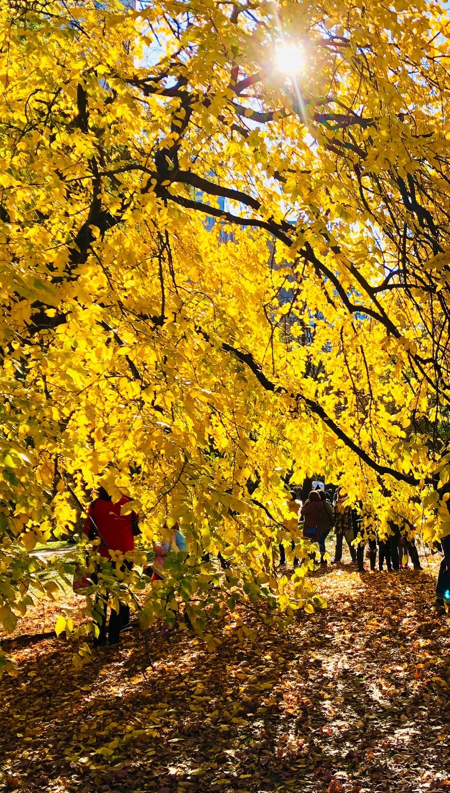 IMG_7653.jpg?type=w966