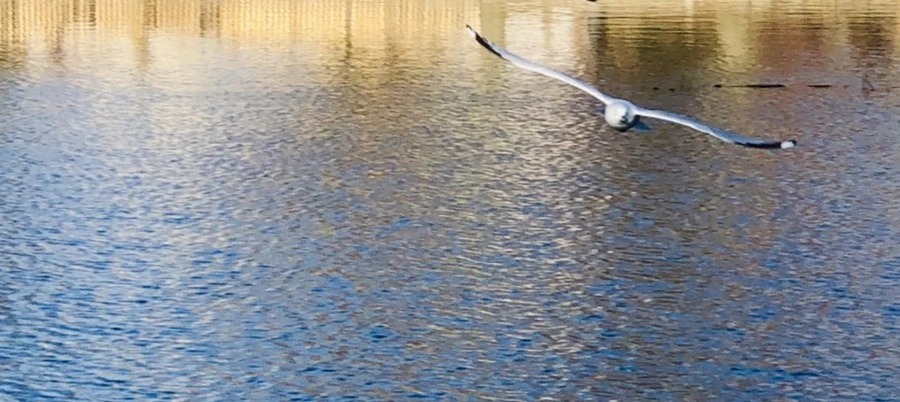 wUqpBr-vWGAuazoADUeY7TFAFp0