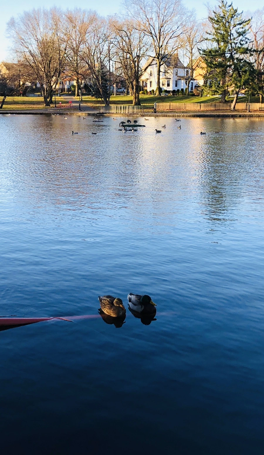 IMG_5963.jpg?type=w966